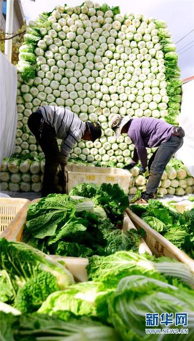 1310406713_16411725997771n 1310406713_16411725997771n