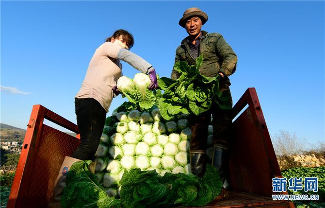 1310406713_16411726000741n 1310406713_16411726000741n