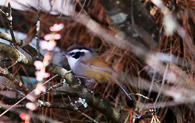 1310434303_16427358187681n