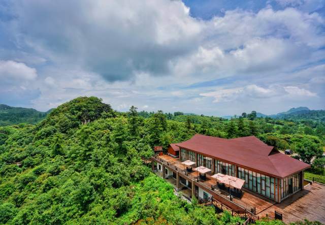 云南全面建成五级林长制（云南省林业和草原局供图）