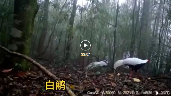 微信图片_20220126194820