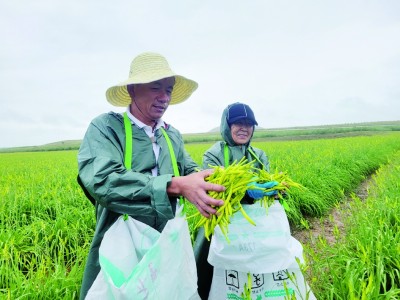 富了乡亲 美了乡村 富了乡亲 美了乡村