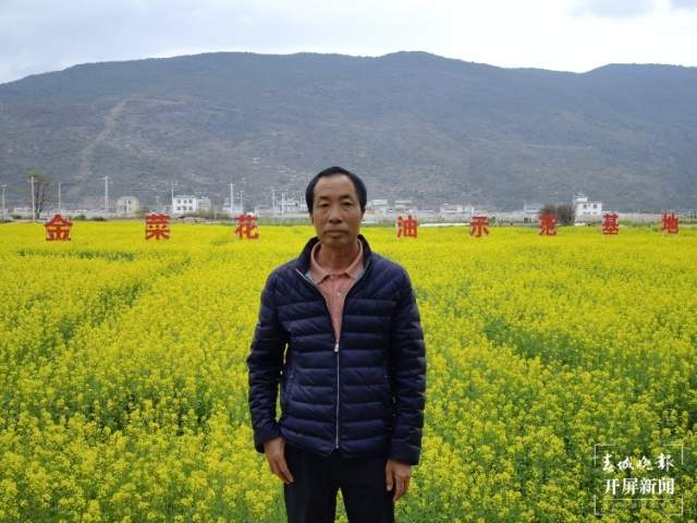 石屏异龙湖畔1000亩油菜花成春节打卡点 李强 摄