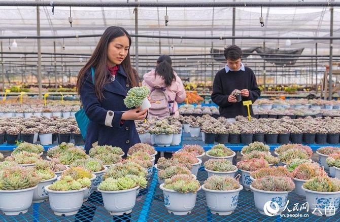 LOCAL202201280906000576881963097