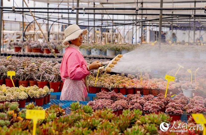 LOCAL202201280906000579812374862