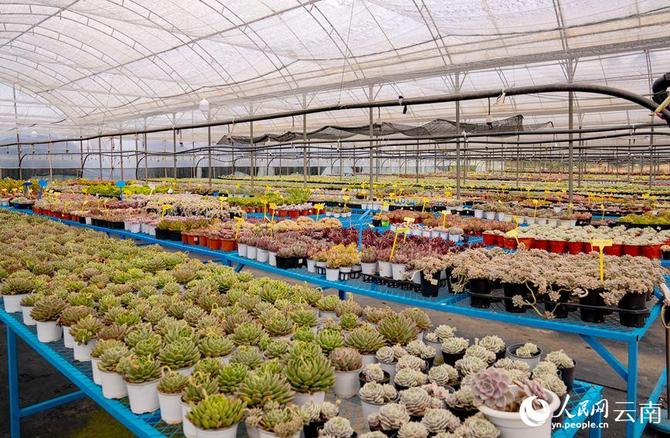 LOCAL202201280906000584089501914