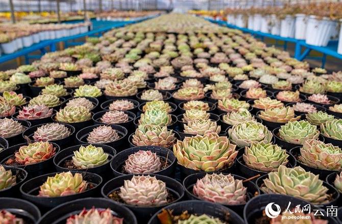 LOCAL202201280906000589607666893