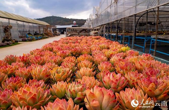 LOCAL202201280907000002406830994