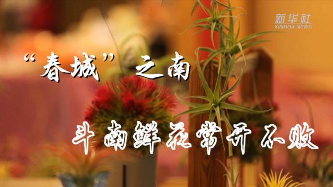 20220128f39080ea32d743f7bf27255c139d4dee_RREe7DTBJU5elqBZ 20220128f39080ea32d743f7bf27255c139d4dee_RREe7DTBJU5elqBZ