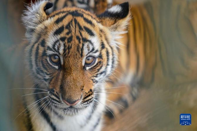 f44d30758ab0235da0723c f44d30758ab0235da0723c