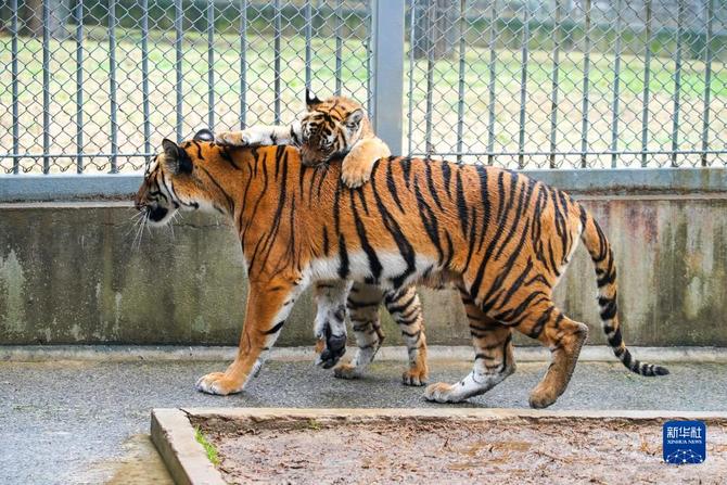 f44d30758ab0235da3d120 f44d30758ab0235da3d120