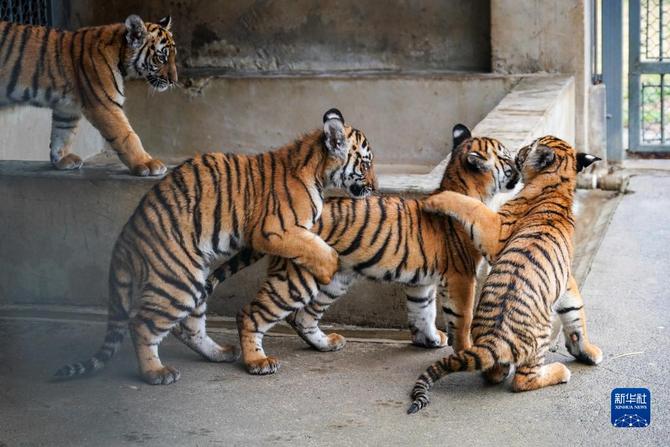 f44d30758ab0235da3d121 f44d30758ab0235da3d121