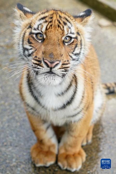 f44d30758ab0235da3d122 f44d30758ab0235da3d122