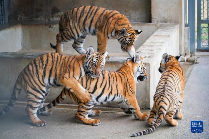 f44d30758ab0235da3d123 f44d30758ab0235da3d123