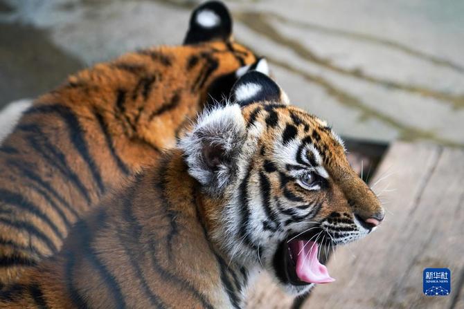 f44d30758ab0235da3d124 f44d30758ab0235da3d124