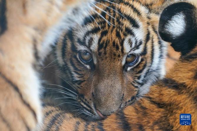 f44d30758ab0235da3d225 f44d30758ab0235da3d225