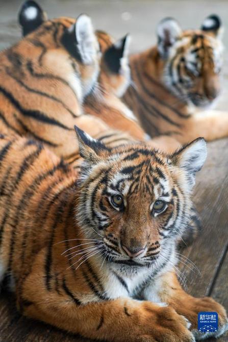 f44d30758ab0235da3d226 f44d30758ab0235da3d226