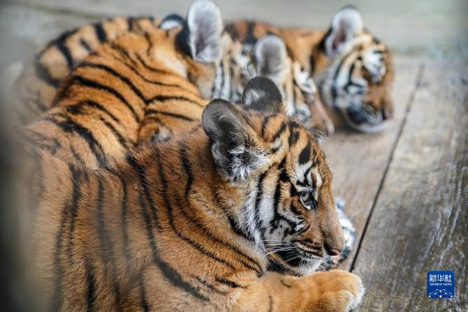 f44d30758ab0235da3d228 f44d30758ab0235da3d228