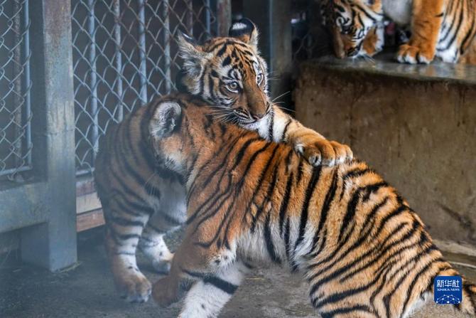 f44d30758ab0235da0773d f44d30758ab0235da0773d