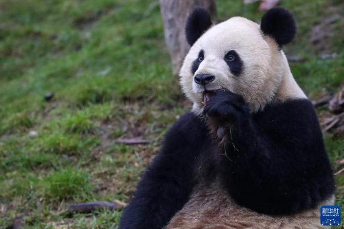 f44d30758ab0235da0945c f44d30758ab0235da0945c