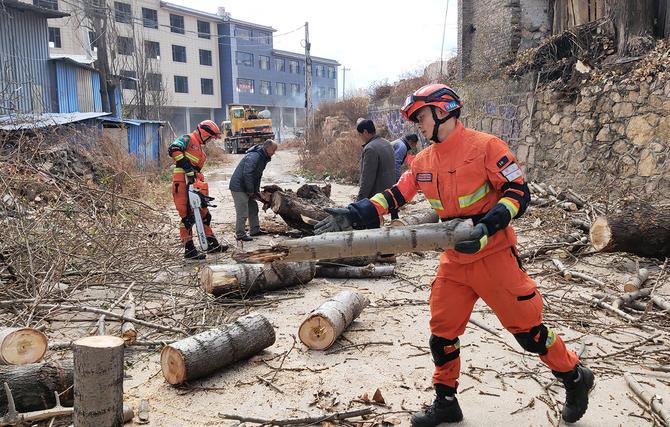 处理高大倒木 处理高大倒木