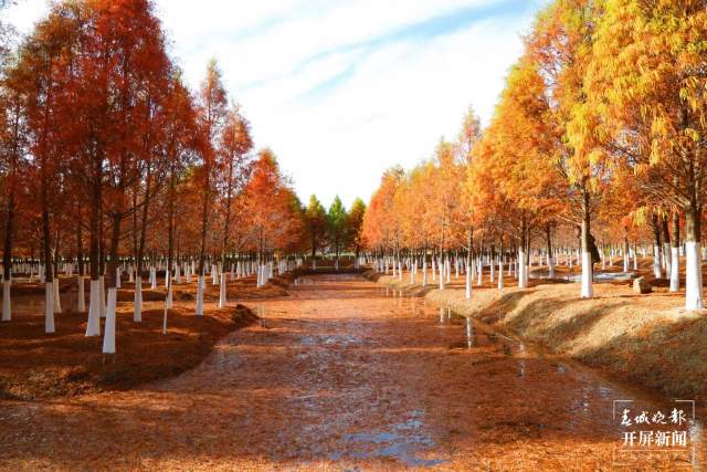 曲靖麒麟区景区（开屏新闻记者 蒋琼波 通讯员 李丽 摄）