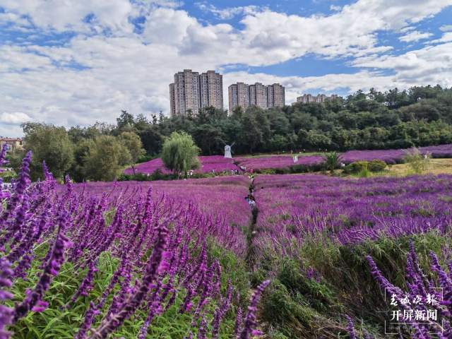 曲靖麒麟区景区（开屏新闻记者 蒋琼波 通讯员 李丽 摄）