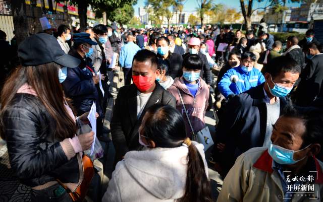 昆明人才市场需求旺 春节过后招聘忙 (11).jpg