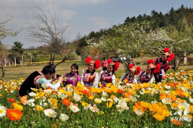 春节期间昆明西山区景区、公园接待游客47.37万人次 张勇 通讯员 王丽娟 李建翔 康凤琼 周姝 摄