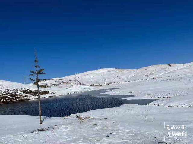 雪后昭通大山包美呆了 (1).jpg