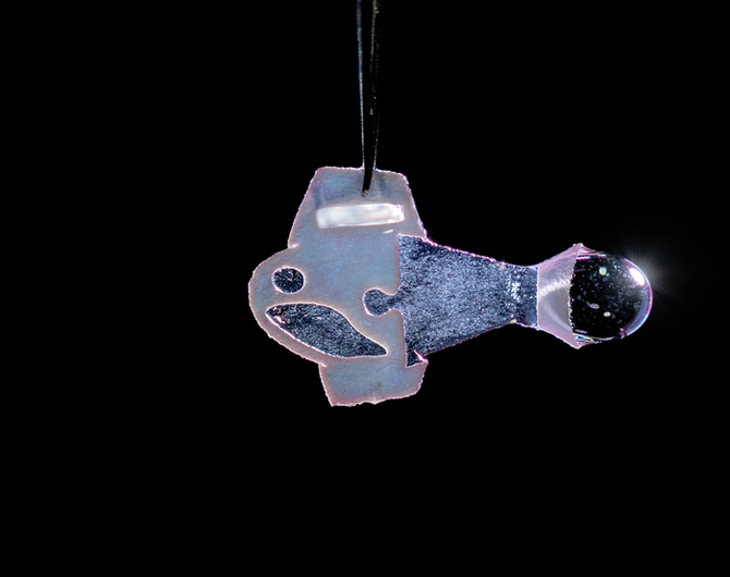 504986c82cf6484bb917a1881ebb5812