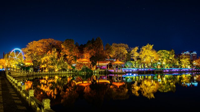 昆明市大观公园万条灯谜闹元宵（昆明市大观公园 供图）