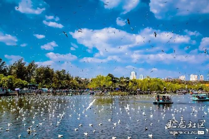 微信图片_20220215152556 微信图片_20220215152556