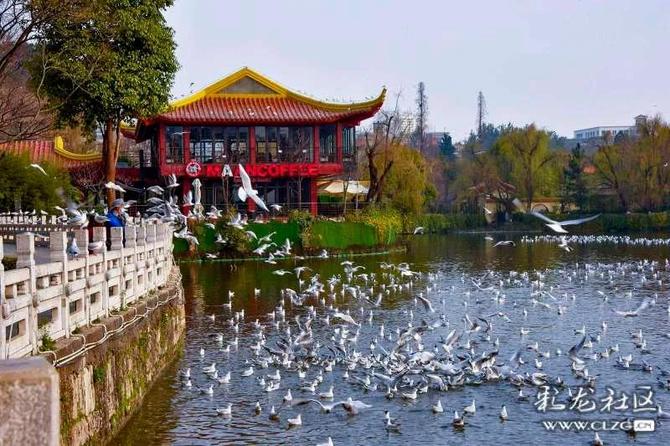 微信图片_20220215152627 微信图片_20220215152627