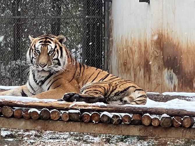 微信图片_20220222152647