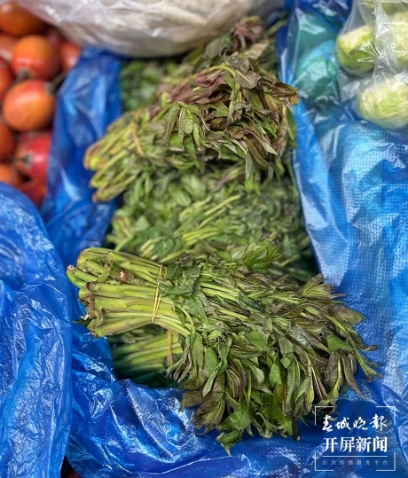 香椿