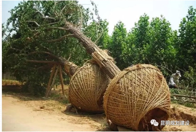 期待!翠湖八景之一“经正书院”原始风貌即将恢复