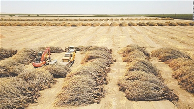 1837349_zhangjy_1646119333061_b 1837349_zhangjy_1646119333061_b