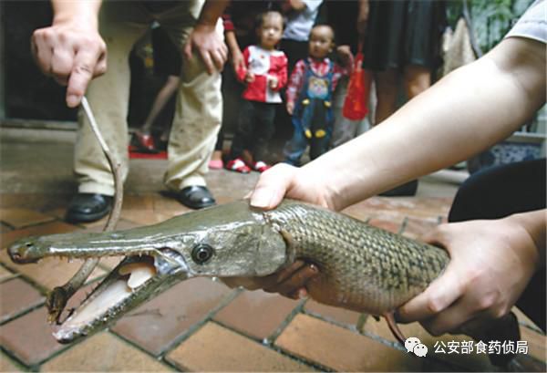 1584784150467522.png 图片