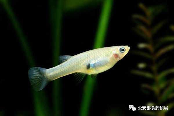 1584784614362826.png 图片