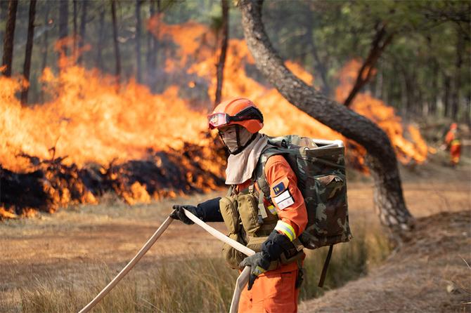 15.使用水泵以水灭火,铺设水带 15.使用水泵以水灭火,铺设水带