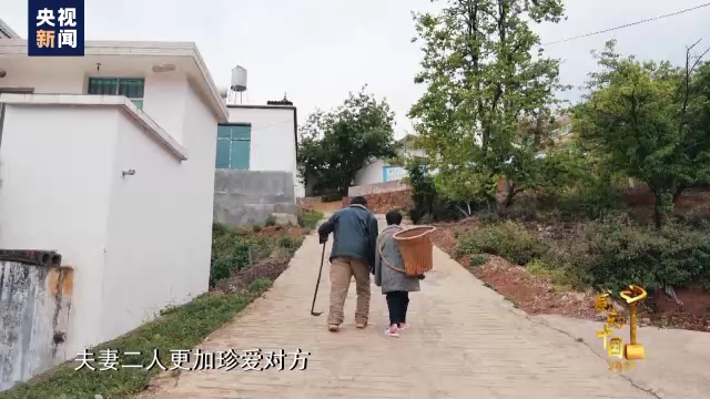 感动中国丨张顺东 李国秀:没脚走出致富路,无手绣出幸福花