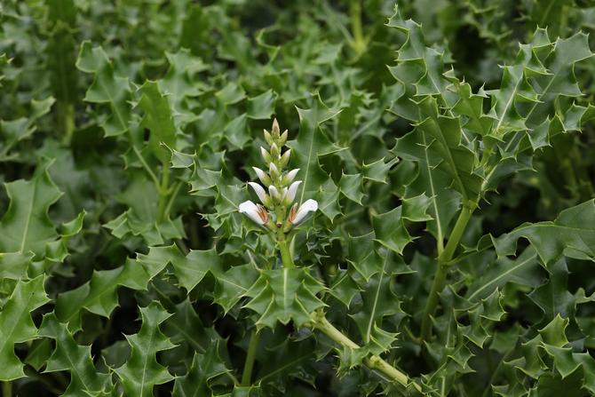 b0847849bbba4791b2522d6b65e85c88 b0847849bbba4791b2522d6b65e85c88