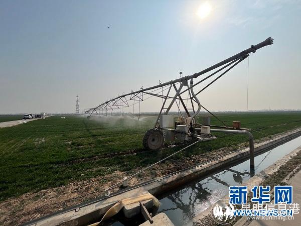 1128457317_16468896936141n