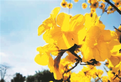 8172569_renqian_1647588812372_b