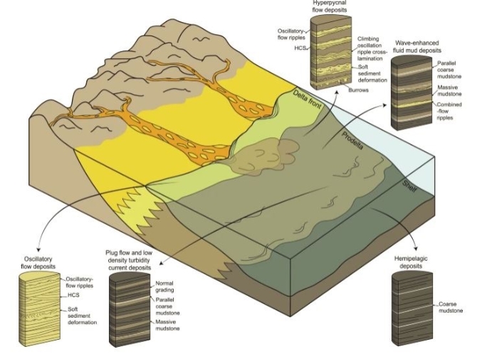 研究揭示:澄江生物群生活在三角洲 云南大学官网