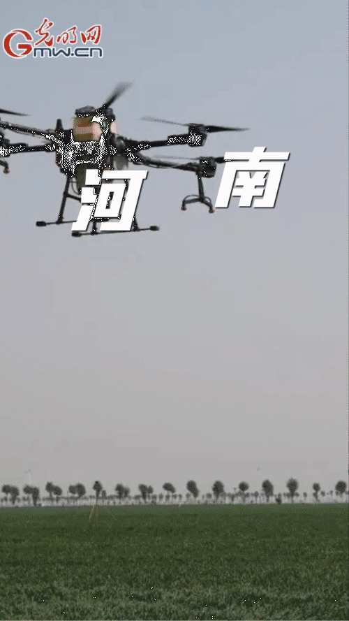 【“动”漫海报】春耕备耕 农资先行 各地各部门多措并举推动农资稳价保供