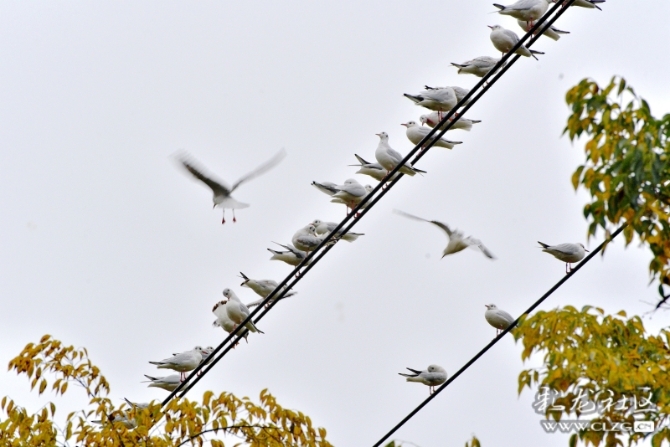 16486495976664099253090935544_5434 16486495976664099253090935544_5434