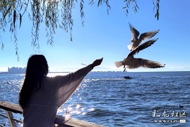 16486495977165169357480598447_5434 16486495977165169357480598447_5434