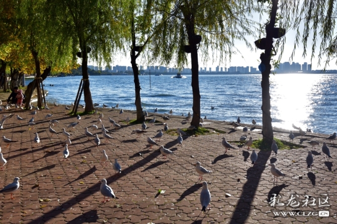 16486495975362413643070520373_5434 16486495975362413643070520373_5434